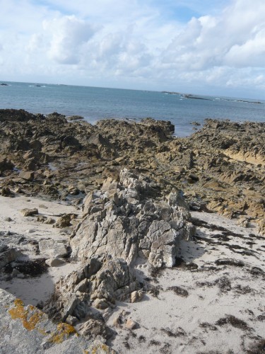 bretagne,poisson,fruits de mer,crustacés,produits de la mer,quiberon,portivy,petit hotel du grand large,caramels henri leroux,compagnie bretonne du poisson