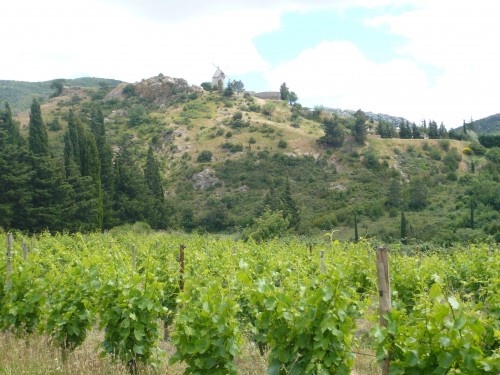 maitres du moulin,roland feuillas,cucugnan,farines de meule,pain 100% nature,blés anciens,paysan-meunier-boulanger,aude,pays cathare