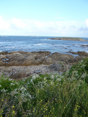 bretagne, poisson, fruits d emer, crustacés, produits de la mer, quiberon, portivy, petit hotel du grand large, caramels henri leroux, compagnie bretonne du poisson