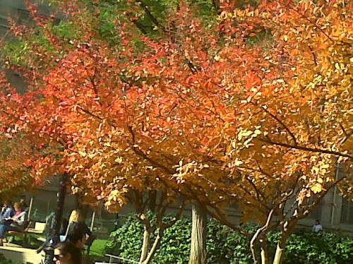 paris_oct2013.jpg
