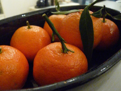 P1090110.jpg