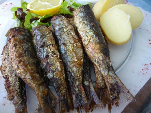 bretagne, poisson, fruits d emer, crustacés, produits de la mer, quiberon, portivy, petit hotel du grand large, caramels henri leroux, compagnie bretonne du poisson