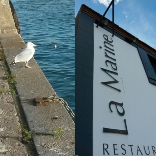 alexandre couillon,la marine,noirmoutier,laurent dupont,jacky dupont,éditions de l'épure,repas gastronomique