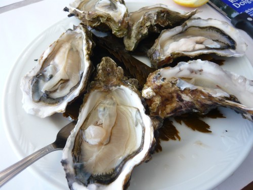 bretagne, poisson, fruits d emer, crustacés, produits de la mer, quiberon, portivy, petit hotel du grand large, caramels henri leroux, compagnie bretonne du poisson